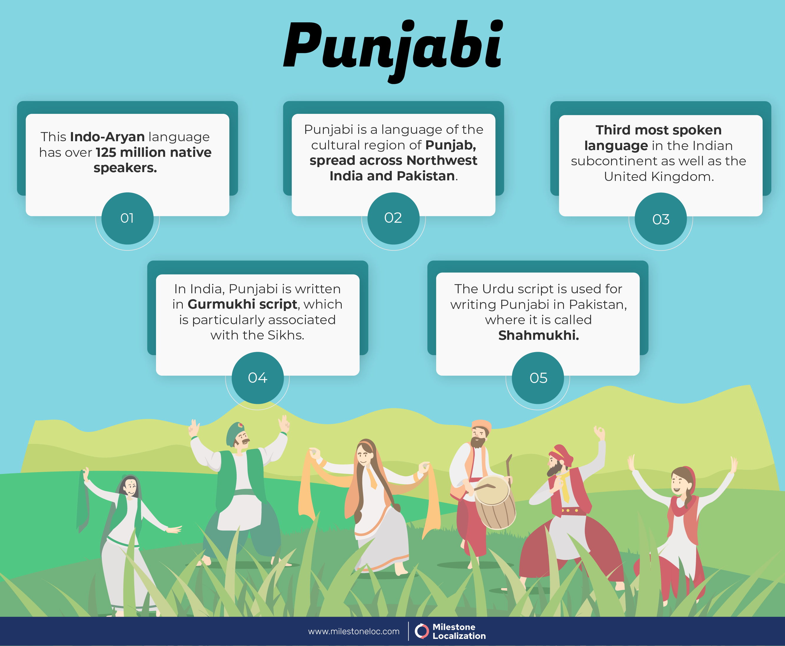 Punjabi Language Infographic Punjabi Language Infographic